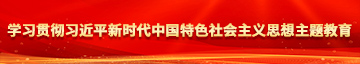 男女捅鸡鸡学习贯彻习近平新时代中国特色社会主义思想主题教育